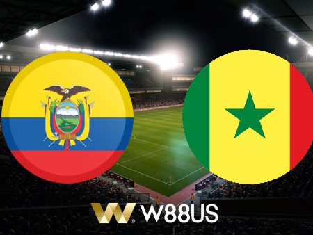 Soi kèo nhà cái W88 trận Ecuador vs Senegal – 22h00 – 29/11/2022